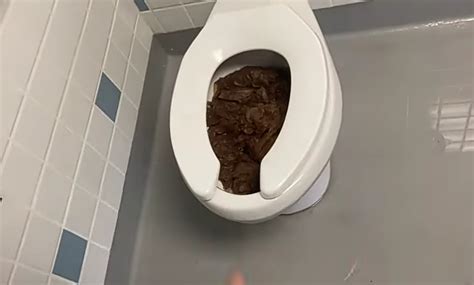 shit porn|shit » Scat